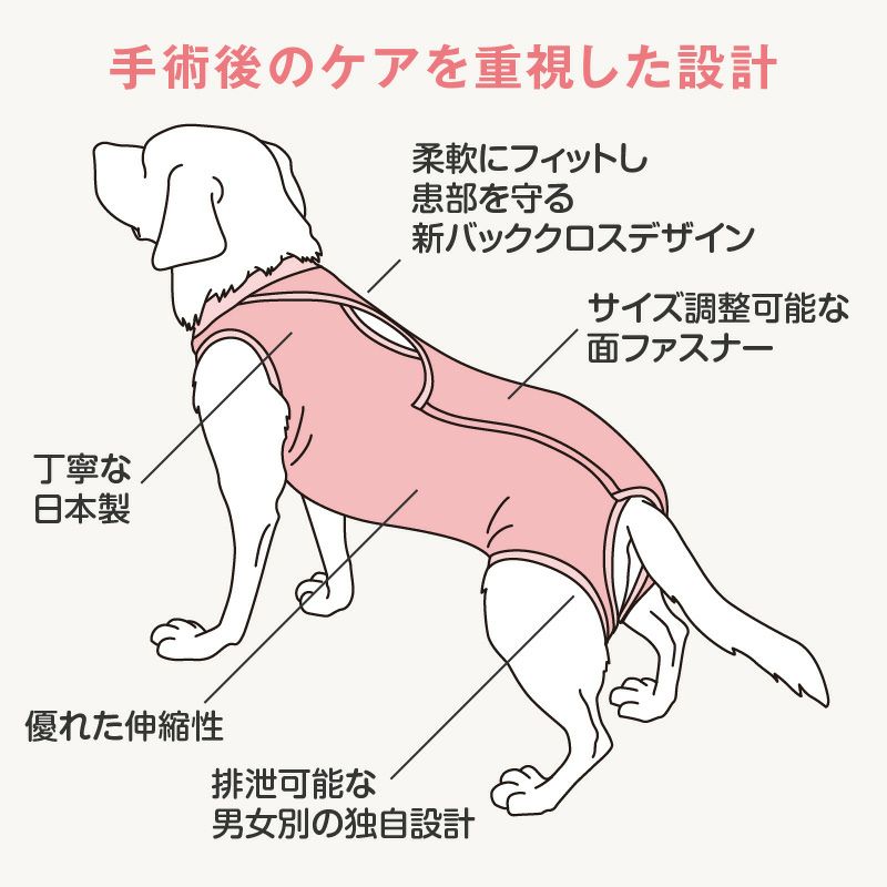 商品画像2